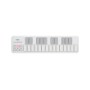Korg nanoKEY2 Slim-line USB MIDI keyboard available in black or white